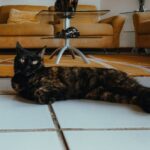 A black cat lounges on tiled floor in a modern living room with beige sofas and decor.