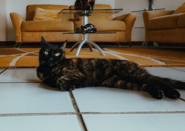 A black cat lounges on tiled floor in a modern living room with beige sofas and decor.
