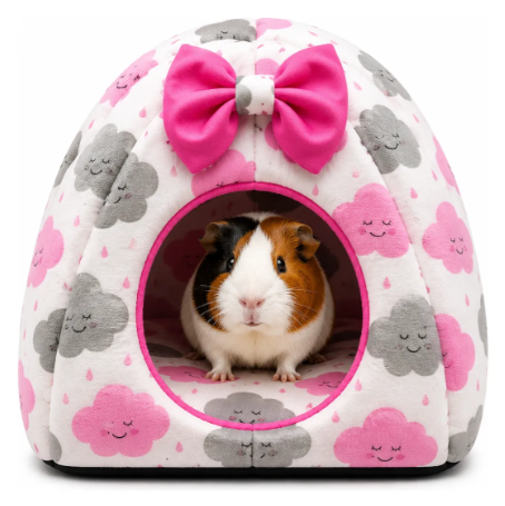 pig1